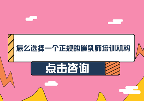 专业催乳师培训机构筛选指南
