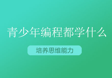 青少年编程都学什么?