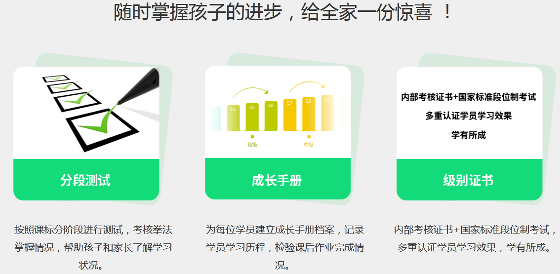 武术训练阶段性成果