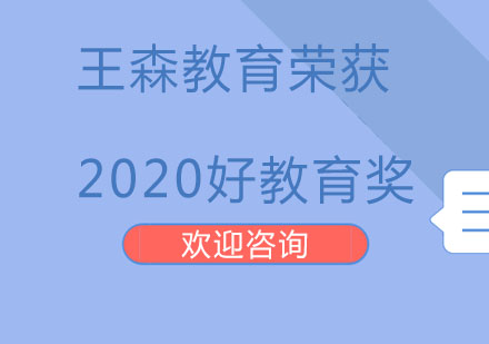 北京王森教育荣获2020好教育奖