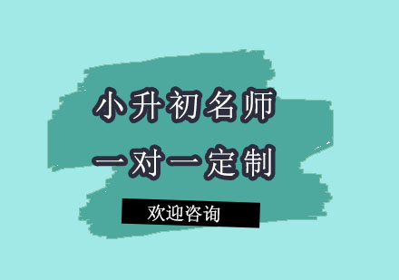 北京小升初一对一定制课程