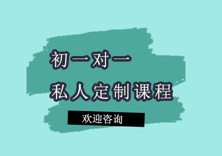 北京初一对一私人定制课程