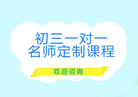 北京初三一对一定制课程