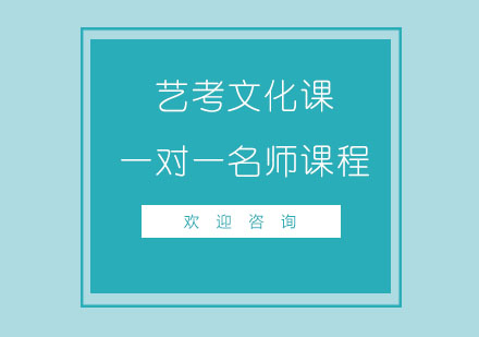 北京艺考文化课一对一课程