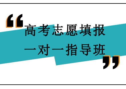 北京高考志愿填报一对一指导班