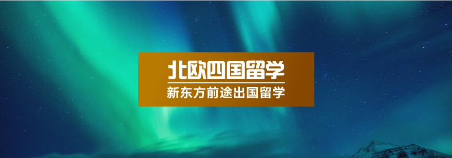 北欧五校联盟合作企业