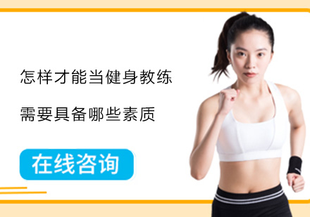 健身教练职业发展必备核心能力解析