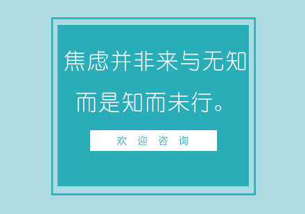 健身教练职业发展五大核心问题深度解析