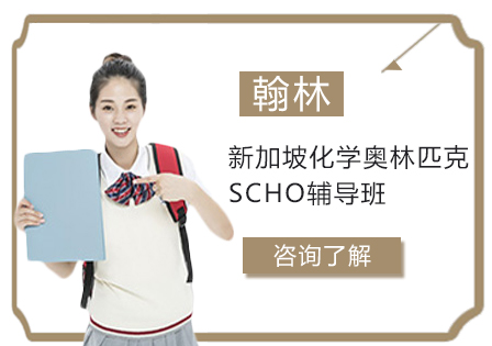新加坡化学奥林匹克SCHO辅导班