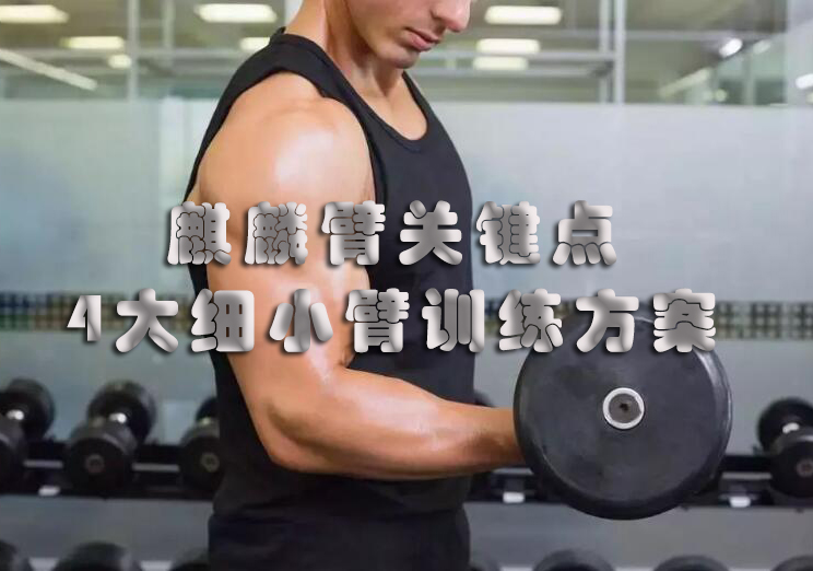麒麟臂关键点4大训练体系深度解析
