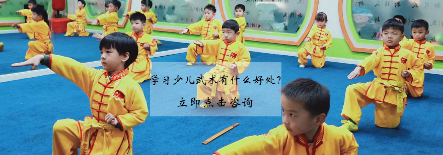 少儿武术训练实景