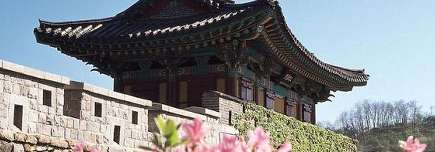 韩语课程体系