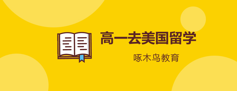 留学申请流程图示