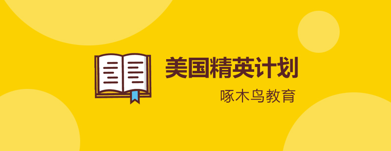 美国留学精英计划体系图
