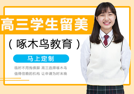高三学生美国留学申请