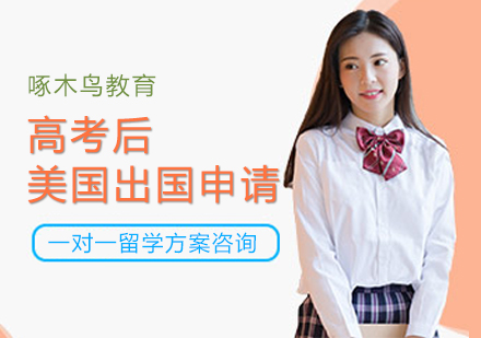 高考后美国留学申请