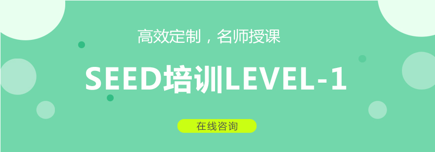 SEED课程教学实景