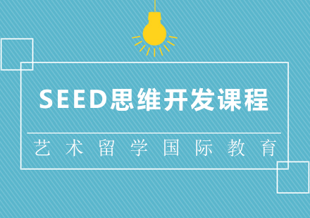 成都SEED思维开发课程