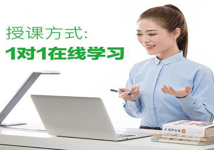 南京纳思线上一对一辅导深度解析