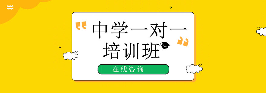 定制化中学辅导
