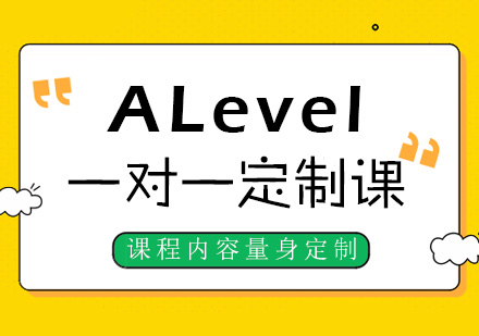 ALevel一对一定制课