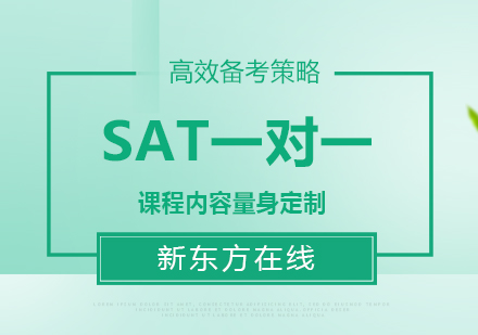 SAT一对一课程