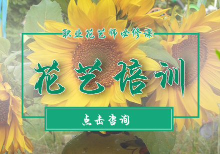 职业花艺师必修课