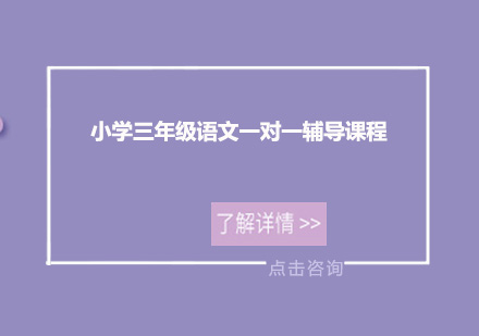 广州小学三年级语文一对一课程辅导培训班