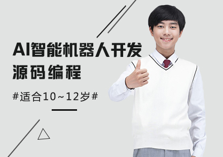 AI智能机器人开发源码编程