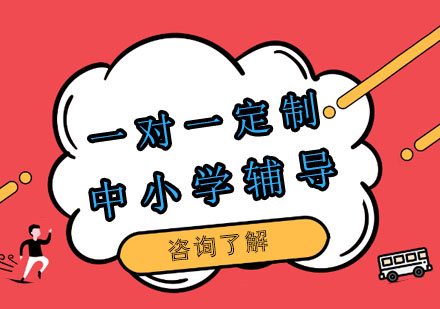 成都中小学一对一定制辅导