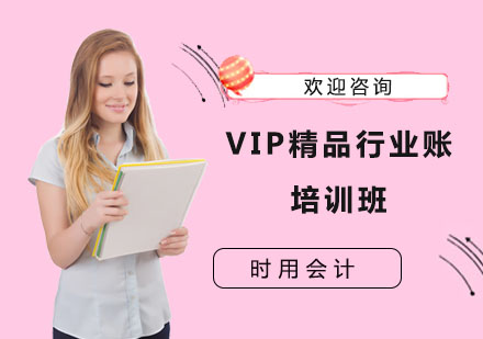 VIP精品行业账培训班