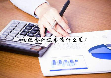 初级会计证书职场价值深度解读