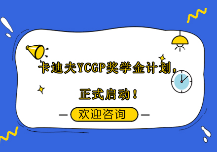 卡迪夫YCGP精英奖学金详解：冲击世界名校的黄金跳板