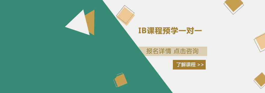 IB课程学习小组讨论