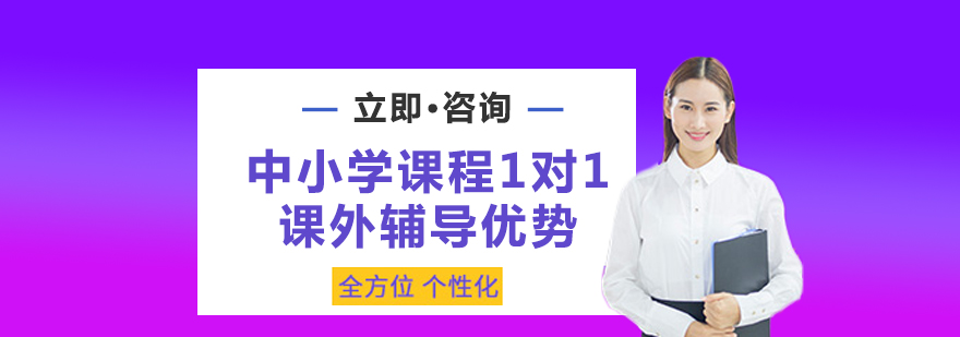 中小学课程1对1课外辅导优势