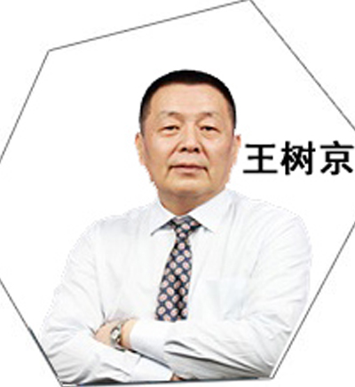 王树京