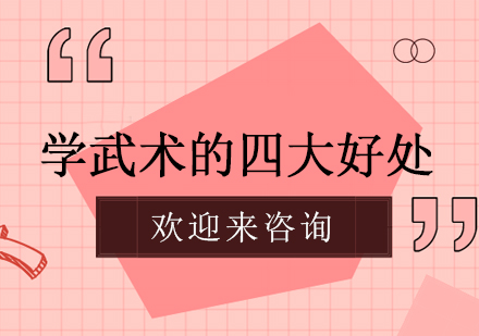 成都青少年武术训练特色解析