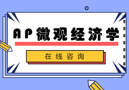 南京唯寻国际AP微观经济学课程