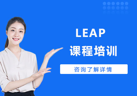 广州LEAP课程培训
