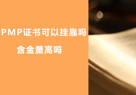 PMP职业认证深度解析与职业发展路径