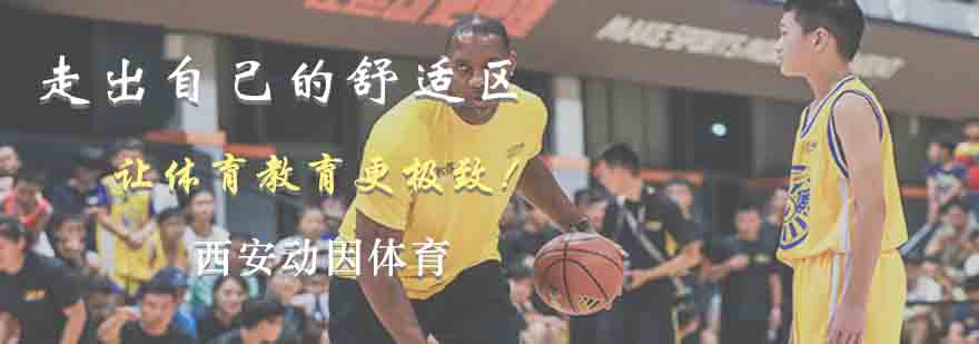 动因体育专属训练装备
