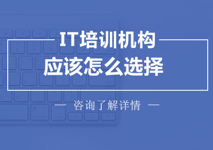IT培训选择全攻略：从教学到的深度解析