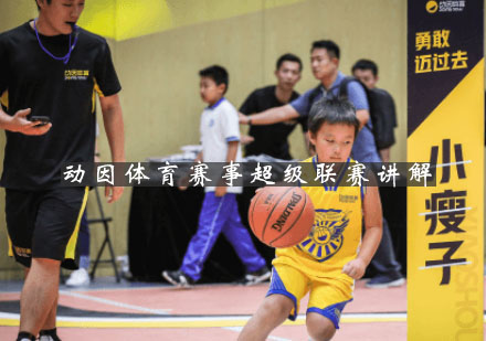 动因体育超级联赛赛事体系深度解析