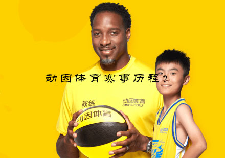 动因体育赛事发展全解析