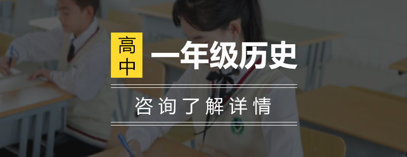 高一历史专题解析