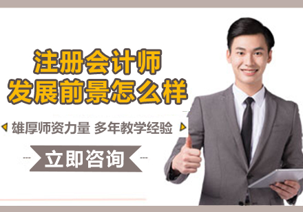 注冊會計師職業(yè)發(fā)展路徑與前景深度解析