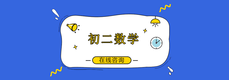 初二数学重点解析