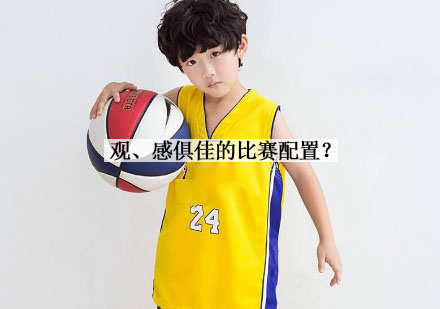 青少年篮球训练特色服务体系解析