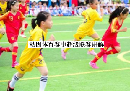 动因体育赛事超级联赛深度解析