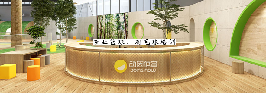 动因体育篮球训练